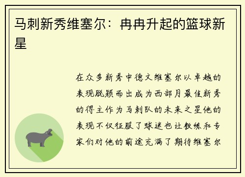 马刺新秀维塞尔：冉冉升起的篮球新星